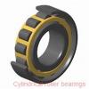 25 mm x 62 mm x 17 mm  SKF NJ 305 ECP  Cylindrical Roller Bearings #1 small image