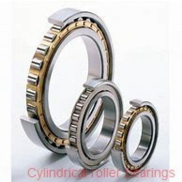 0.787 Inch | 20 Millimeter x 1.654 Inch | 42 Millimeter x 0.551 Inch | 14 Millimeter  SKF NJ 2004 EV/C3  Cylindrical Roller Bearings #1 image