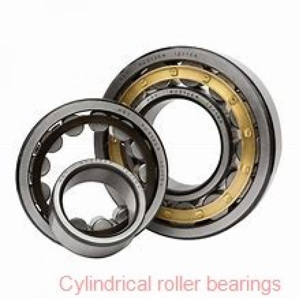 1.969 Inch | 50 Millimeter x 4.331 Inch | 110 Millimeter x 1.063 Inch | 27 Millimeter  SKF NUP 310 ECP/C3  Cylindrical Roller Bearings #1 image